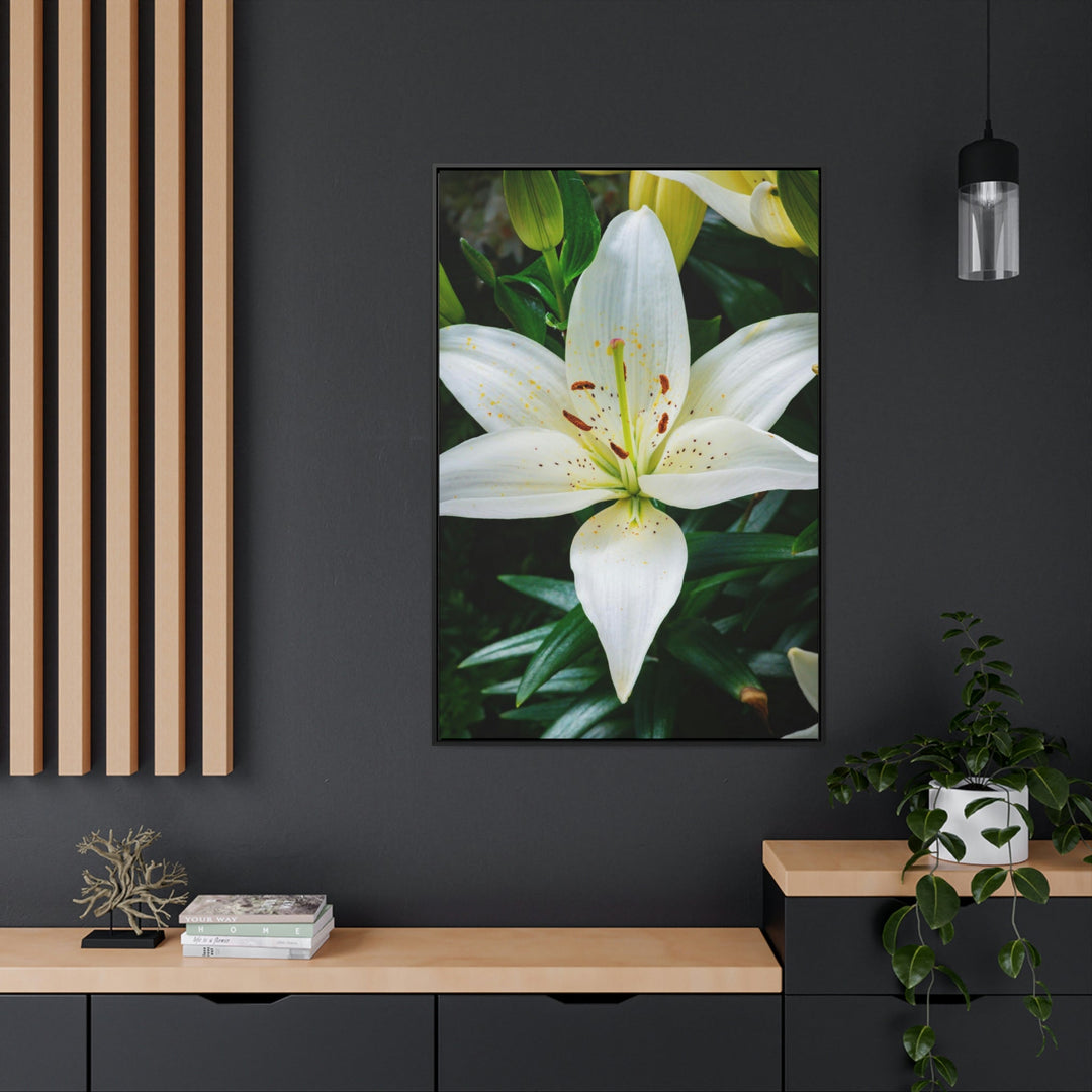 White Lily - Canvas with Frame - Visiting This World