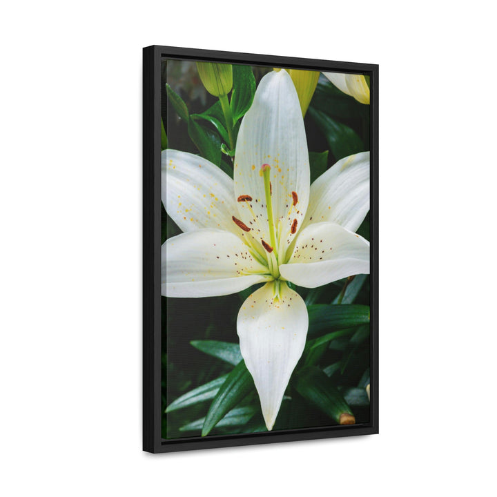 White Lily - Canvas with Frame - Visiting This World