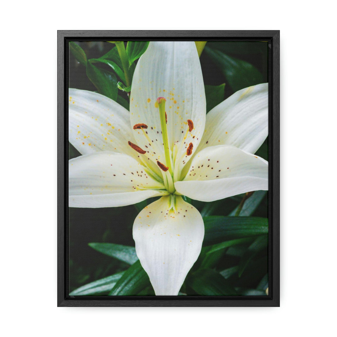 White Lily - Canvas with Frame - Visiting This World