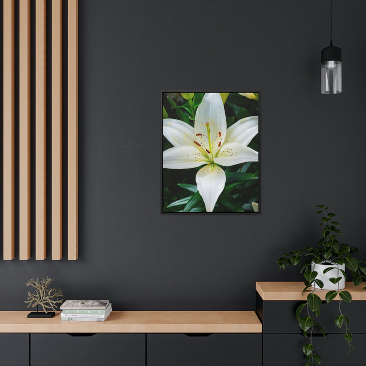 White Lily - Canvas with Frame - Visiting This World