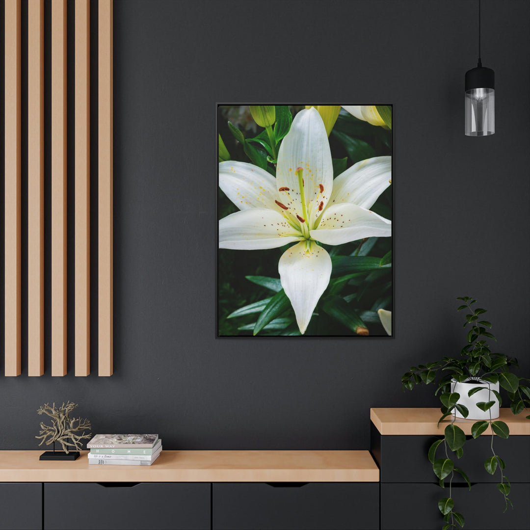 White Lily - Canvas with Frame - Visiting This World