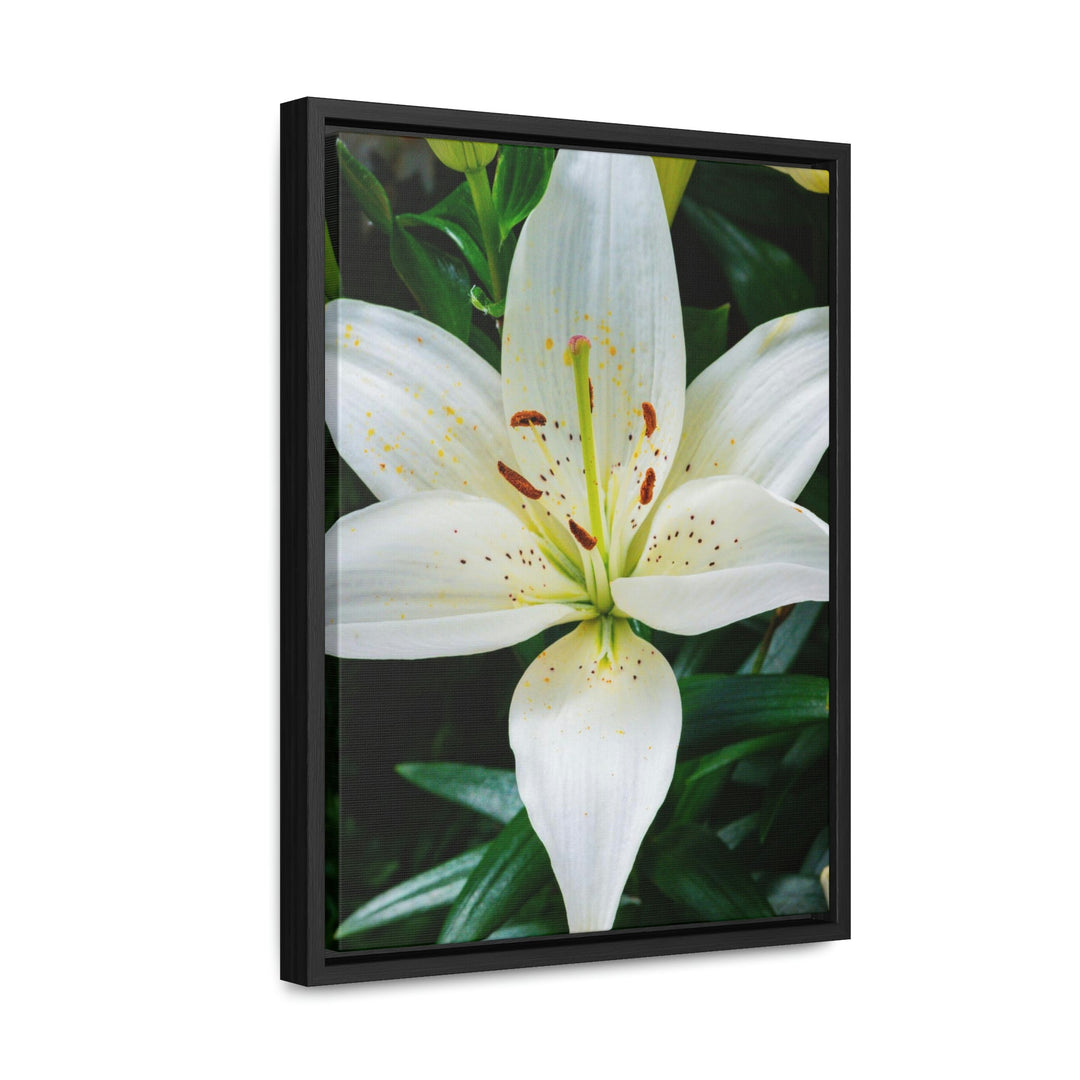 White Lily - Canvas with Frame - Visiting This World