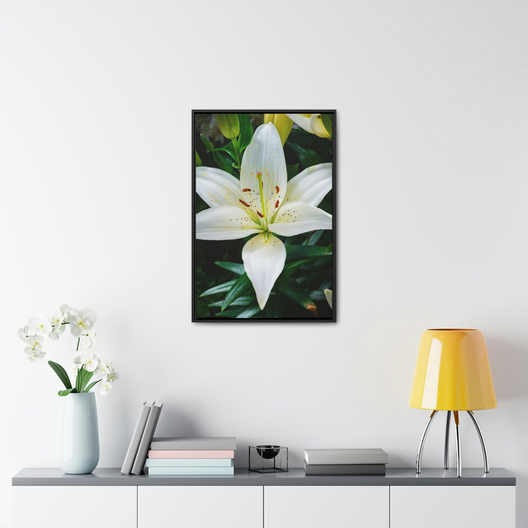 White Lily - Canvas with Frame - Visiting This World