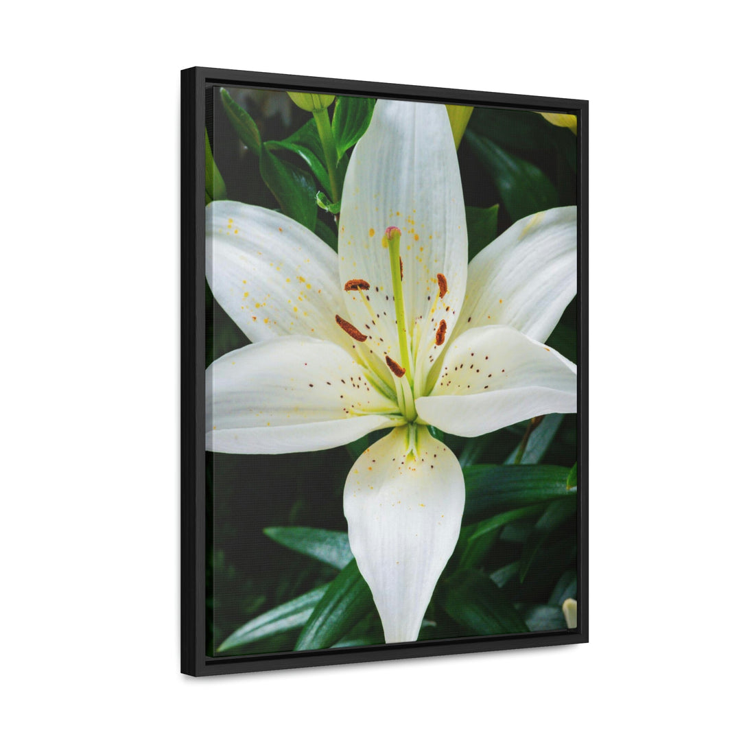 White Lily - Canvas with Frame - Visiting This World