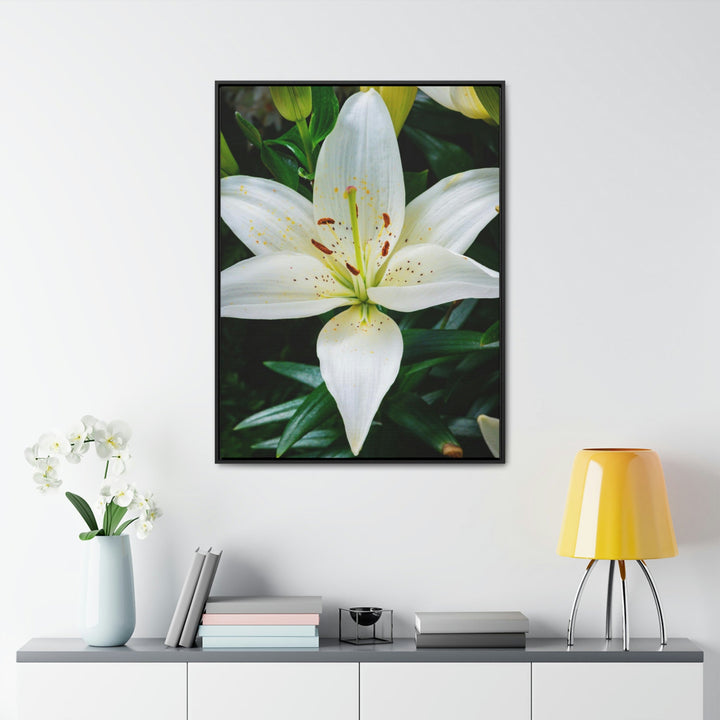 White Lily - Canvas with Frame - Visiting This World