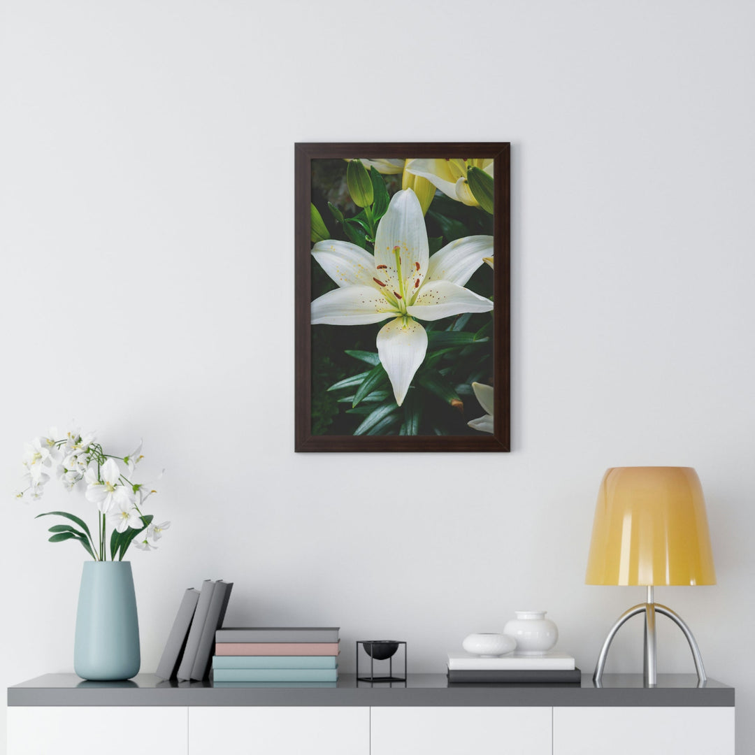 White Lily - Framed Print - Visiting This World