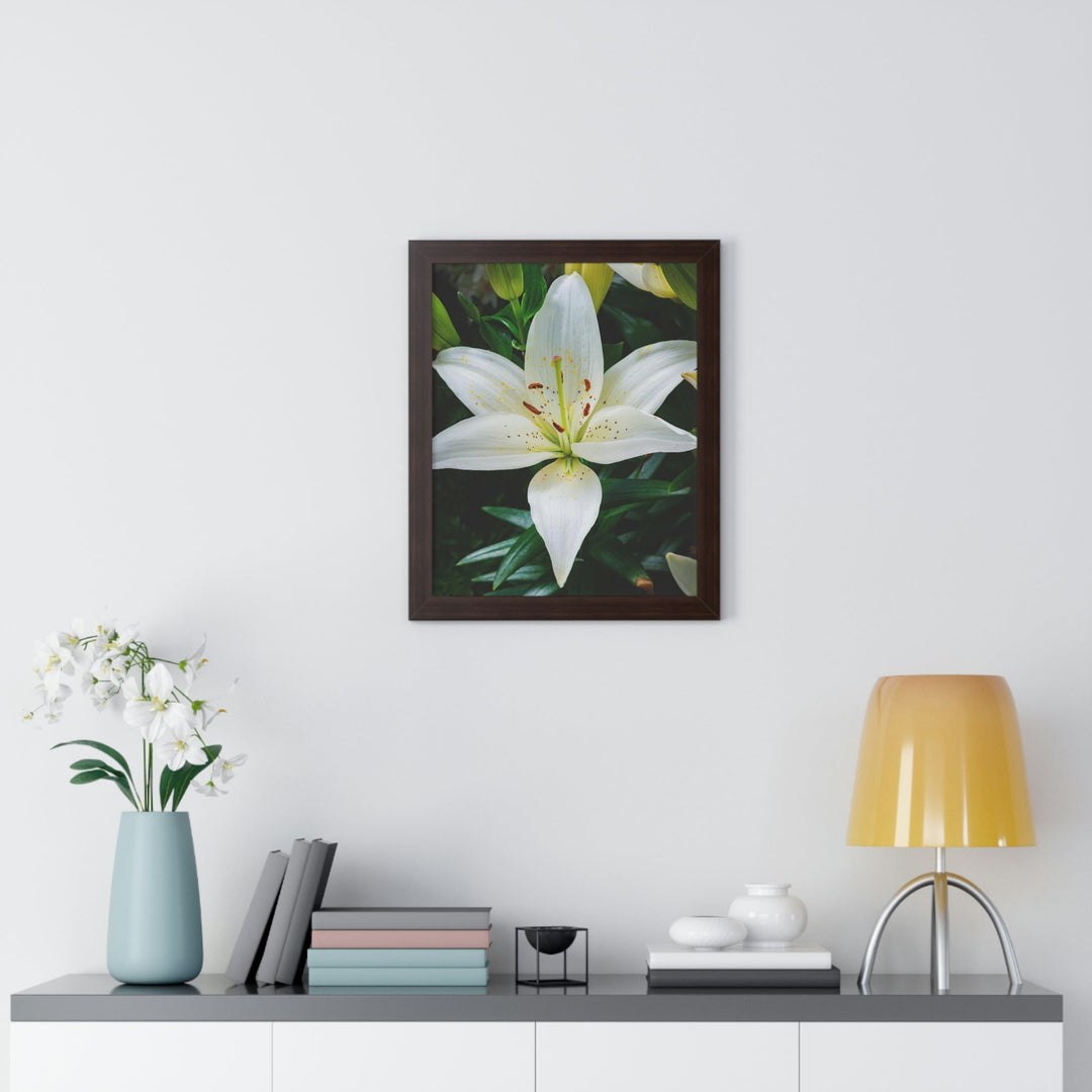 White Lily - Framed Print - Visiting This World