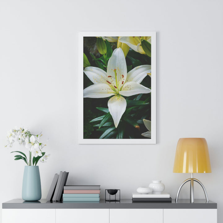 White Lily - Framed Print - Visiting This World