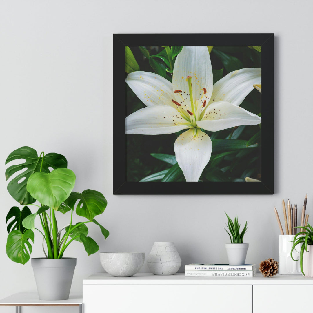 White Lily - Framed Print - Visiting This World