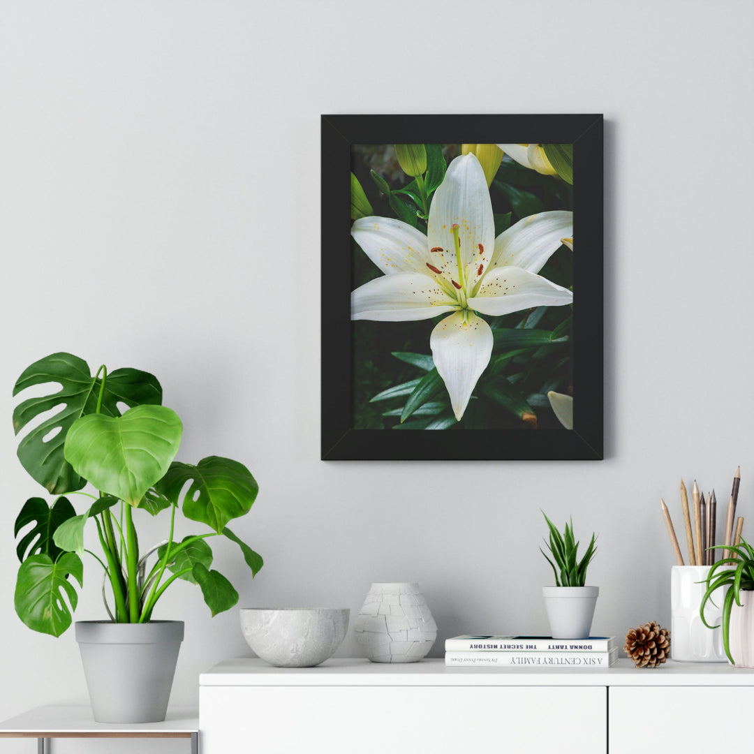 White Lily - Framed Print - Visiting This World