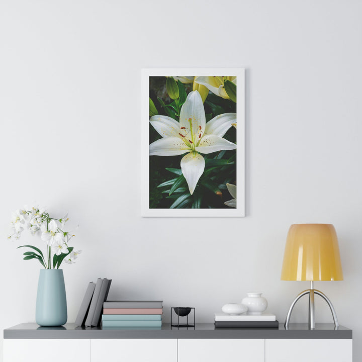 White Lily - Framed Print - Visiting This World