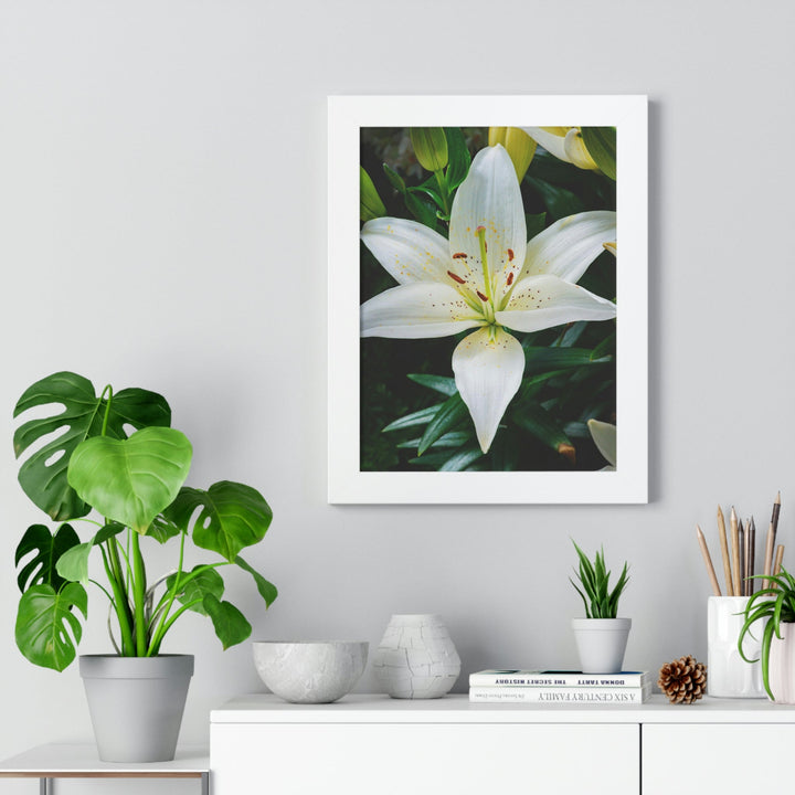 White Lily - Framed Print - Visiting This World