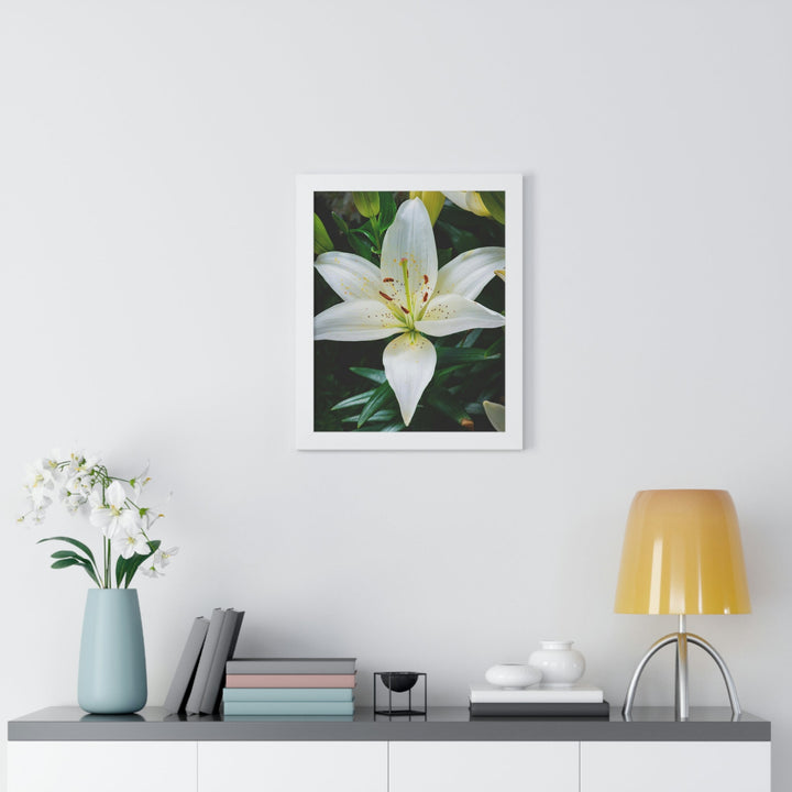 White Lily - Framed Print - Visiting This World