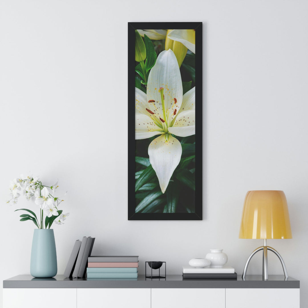 White Lily - Framed Print - Visiting This World