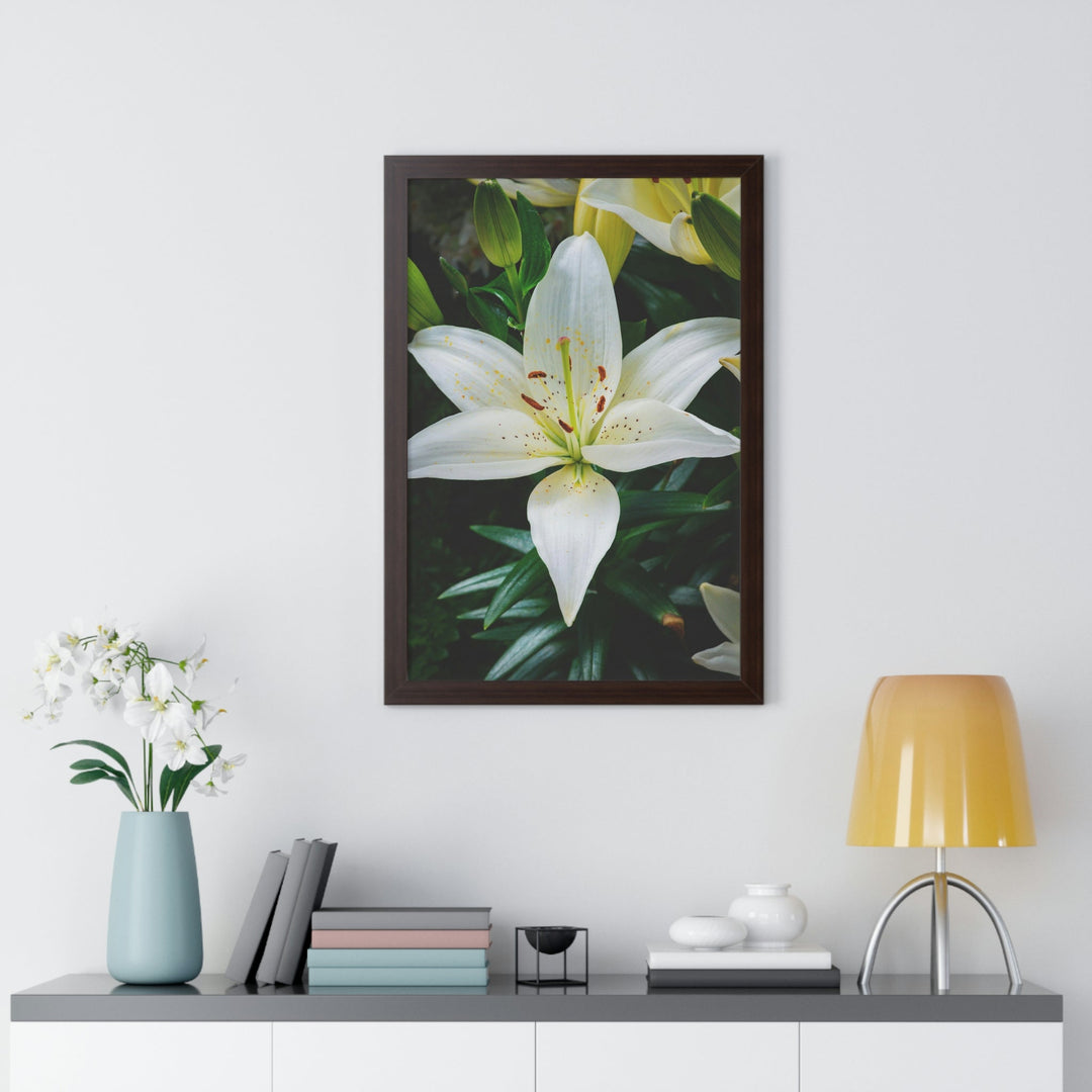 White Lily - Framed Print - Visiting This World