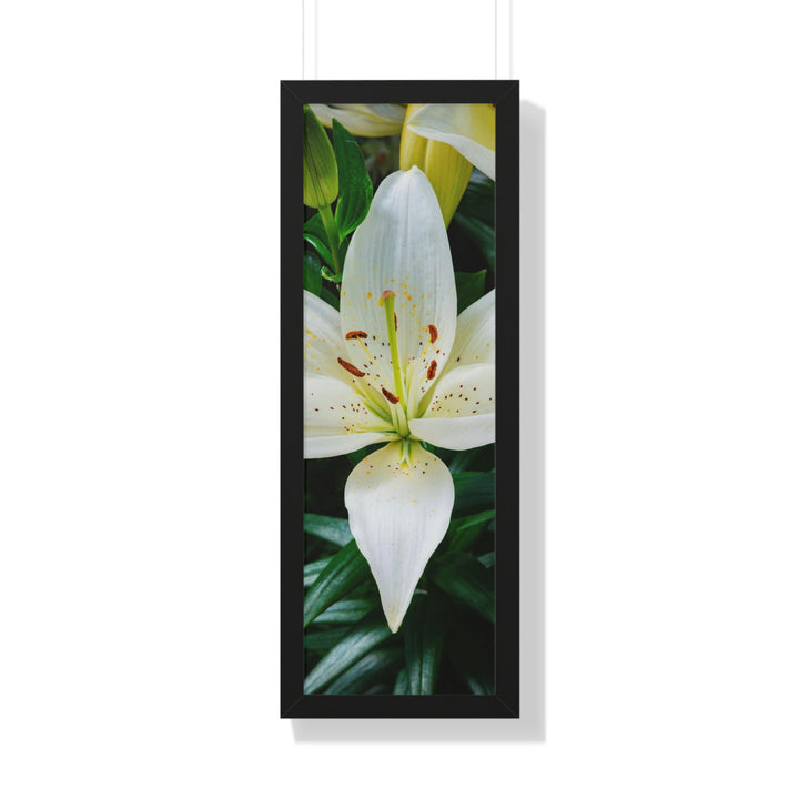 White Lily - Framed Print - Visiting This World