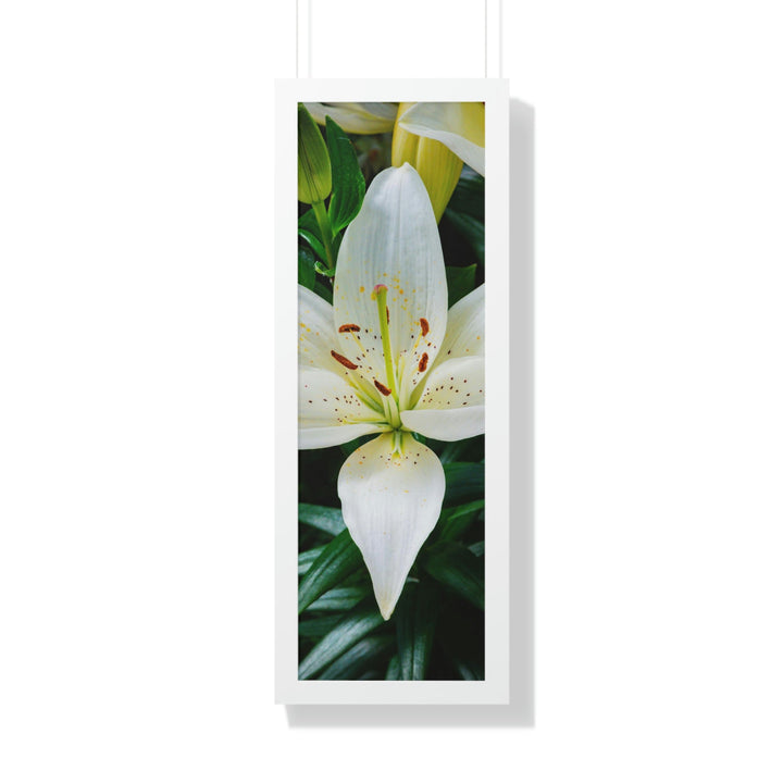 White Lily - Framed Print - Visiting This World