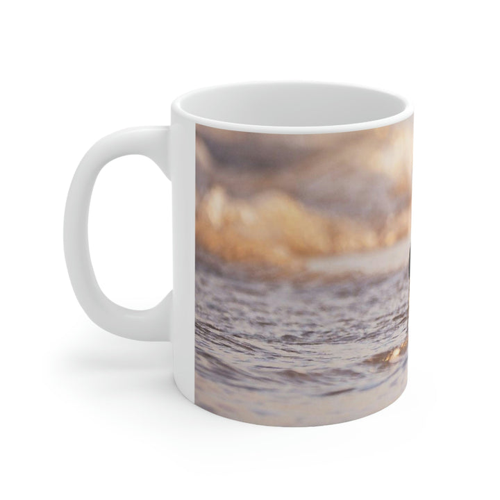 Willet Itch - Ceramic Mug 11oz - Visiting This World