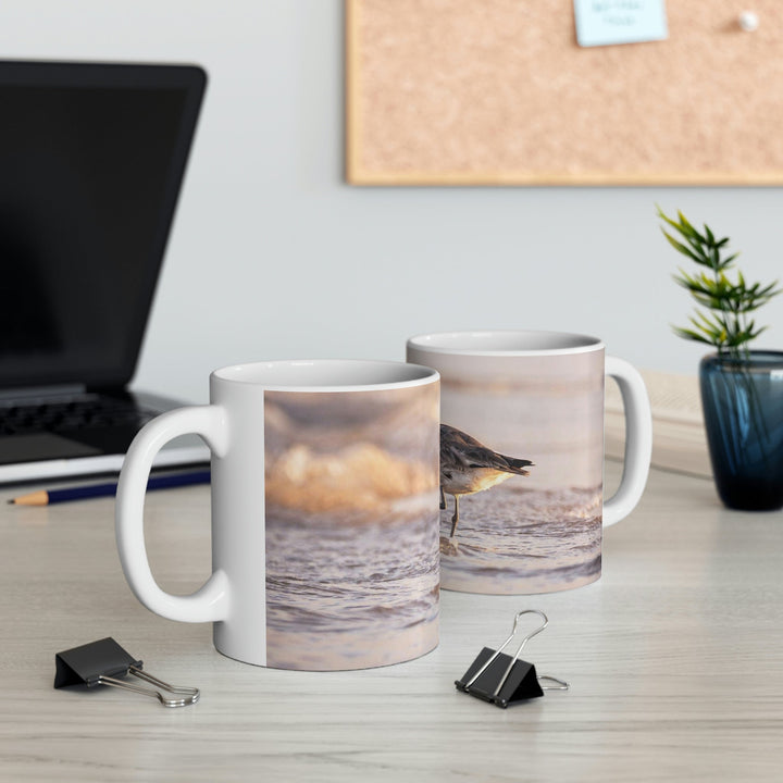 Willet Itch - Ceramic Mug 11oz - Visiting This World