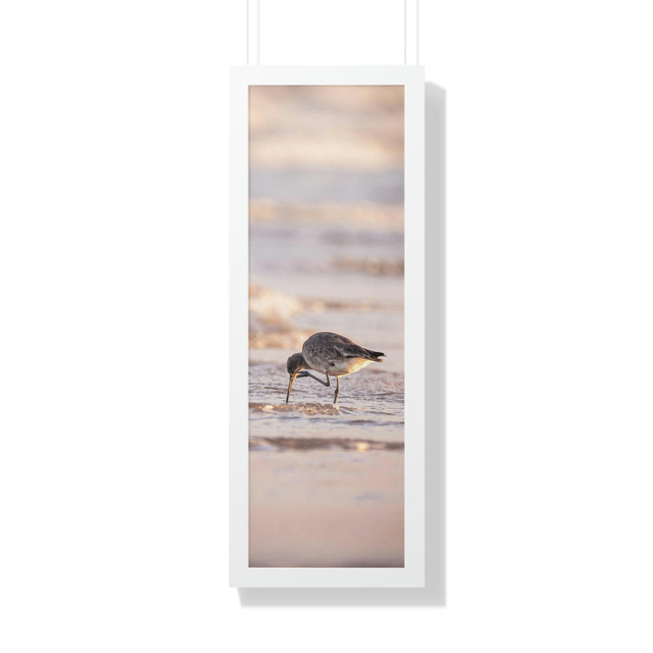 Willet Itch - Framed Print - Visiting This World