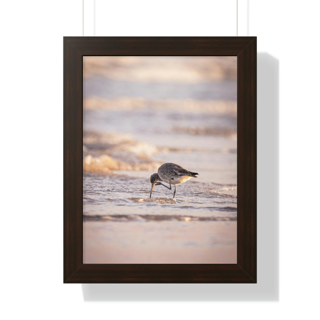 Willet Itch - Framed Print - Visiting This World