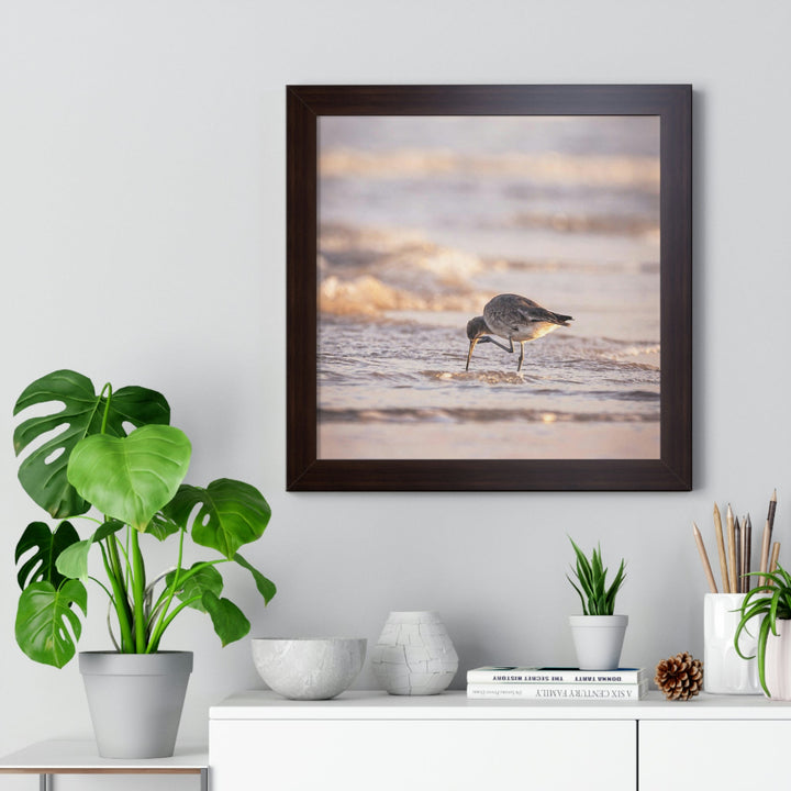 Willet Itch - Framed Print - Visiting This World