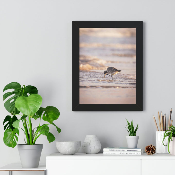 Willet Itch - Framed Print - Visiting This World