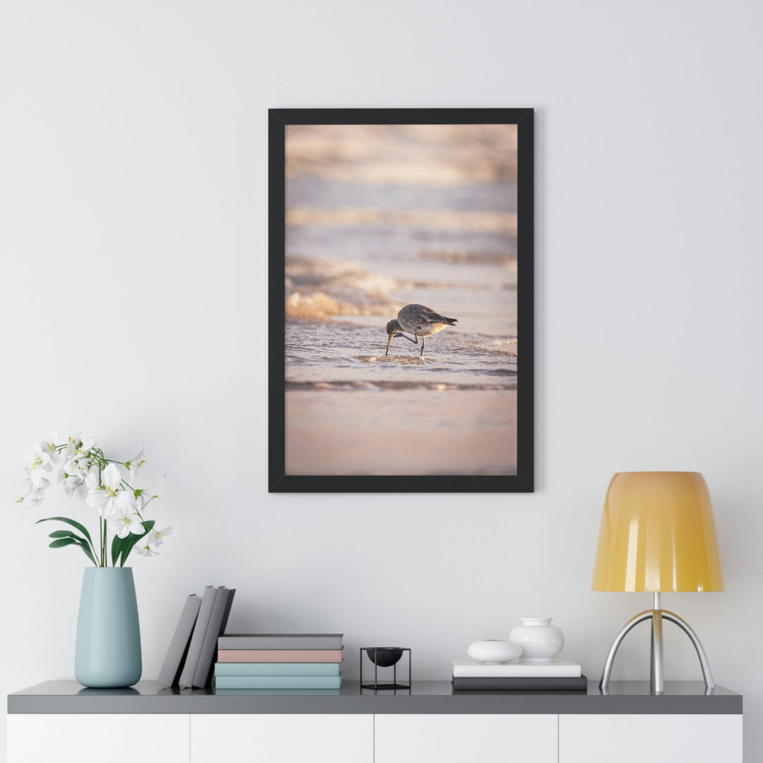 Willet Itch - Framed Print - Visiting This World