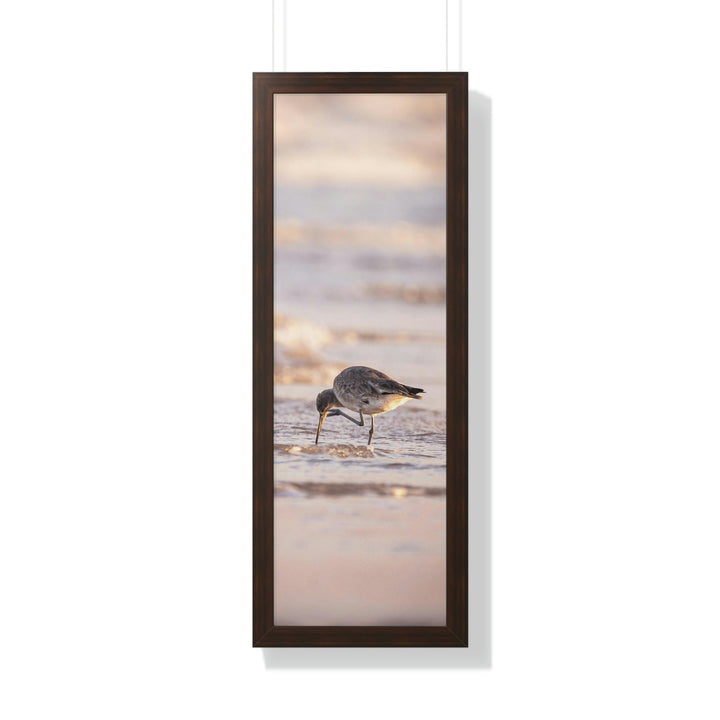 Willet Itch - Framed Print - Visiting This World