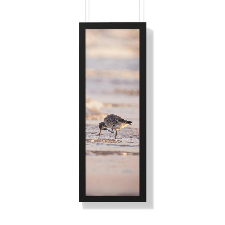 Willet Itch - Framed Print - Visiting This World