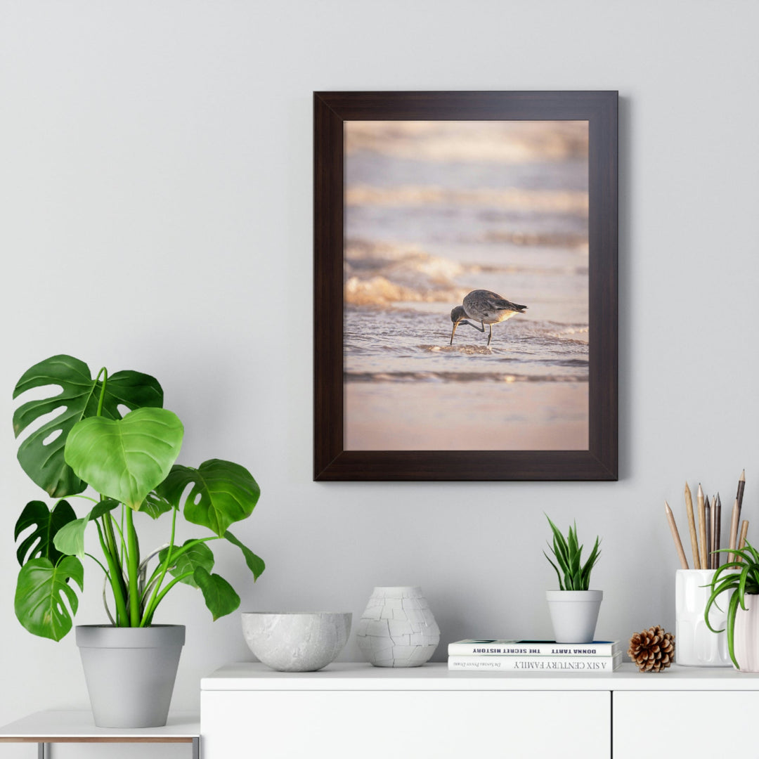 Willet Itch - Framed Print - Visiting This World