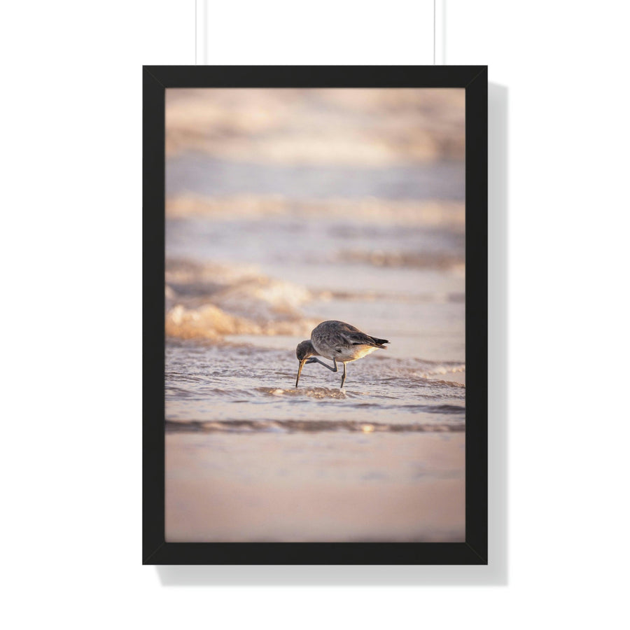 Willet Itch - Framed Print - Visiting This World