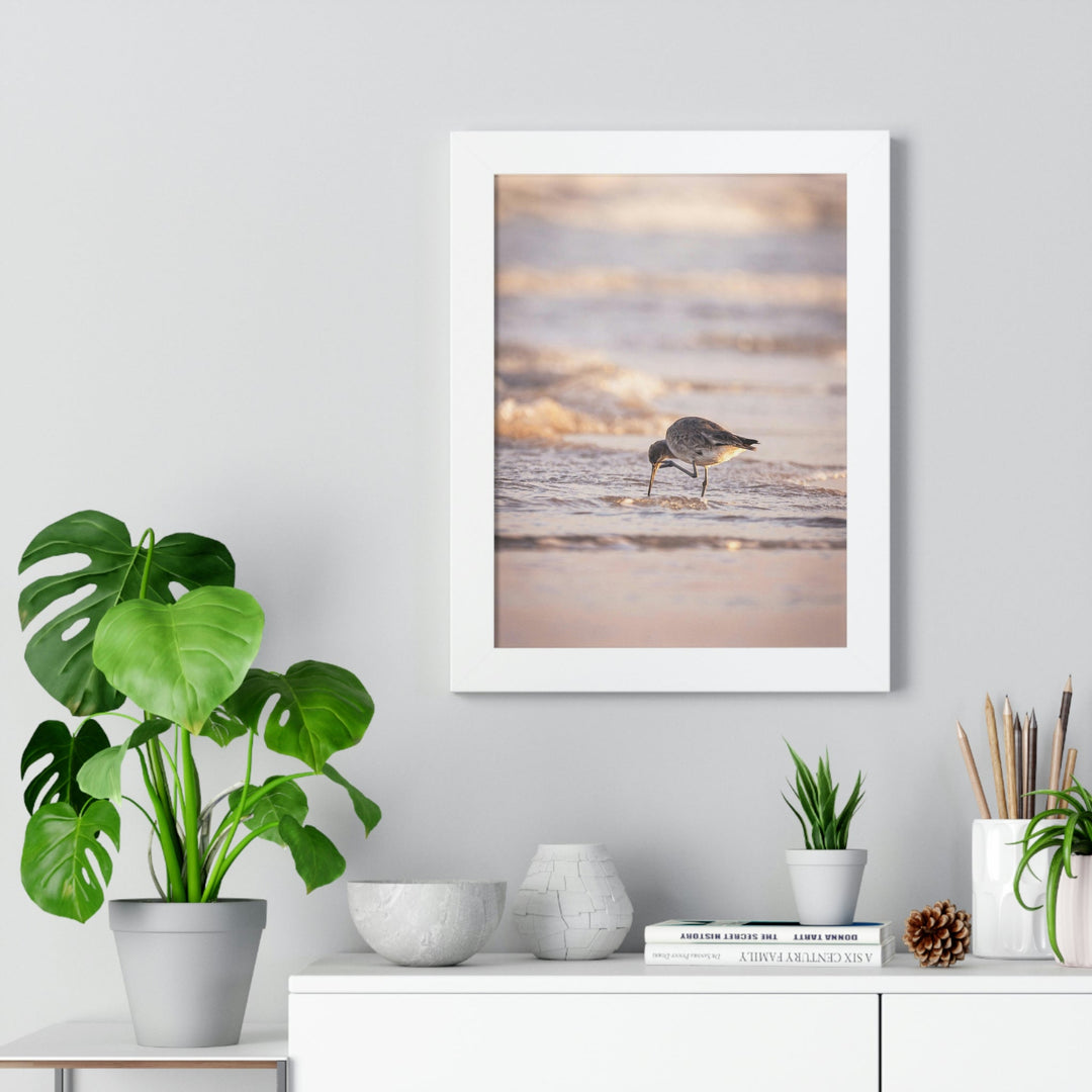 Willet Itch - Framed Print - Visiting This World