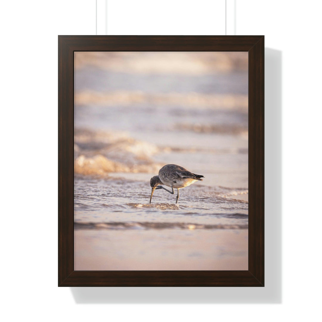 Willet Itch - Framed Print - Visiting This World