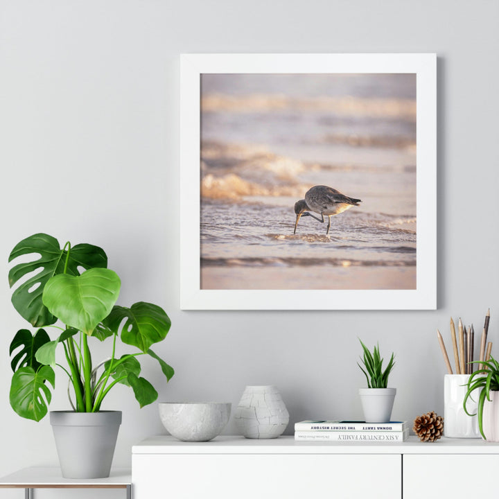 Willet Itch - Framed Print - Visiting This World