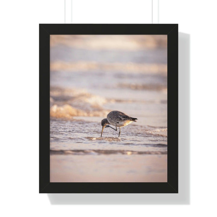 Willet Itch - Framed Print - Visiting This World