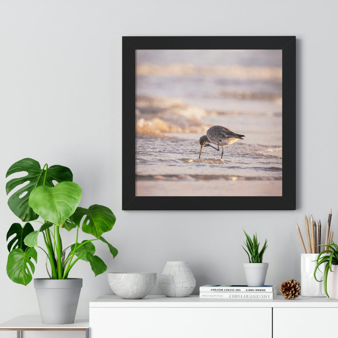 Willet Itch - Framed Print - Visiting This World