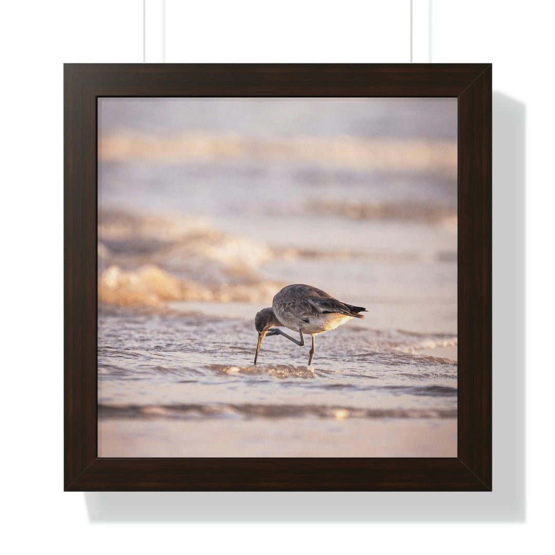 Willet Itch - Framed Print - Visiting This World