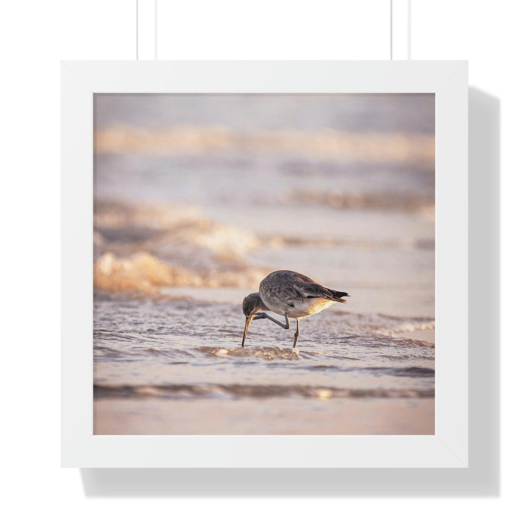 Willet Itch - Framed Print - Visiting This World