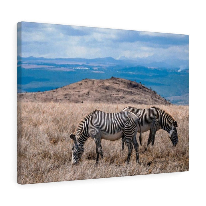 Zebra-Striped Expanse - Canvas - Visiting This World