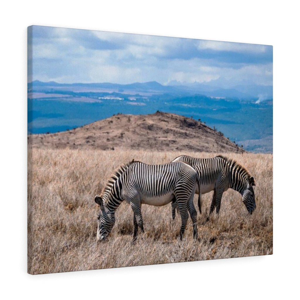 Zebra-Striped Expanse - Canvas - Visiting This World