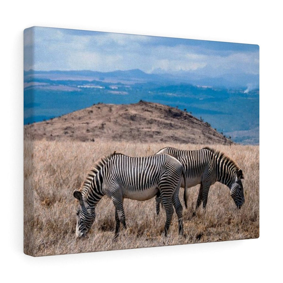 Zebra-Striped Expanse - Canvas - Visiting This World