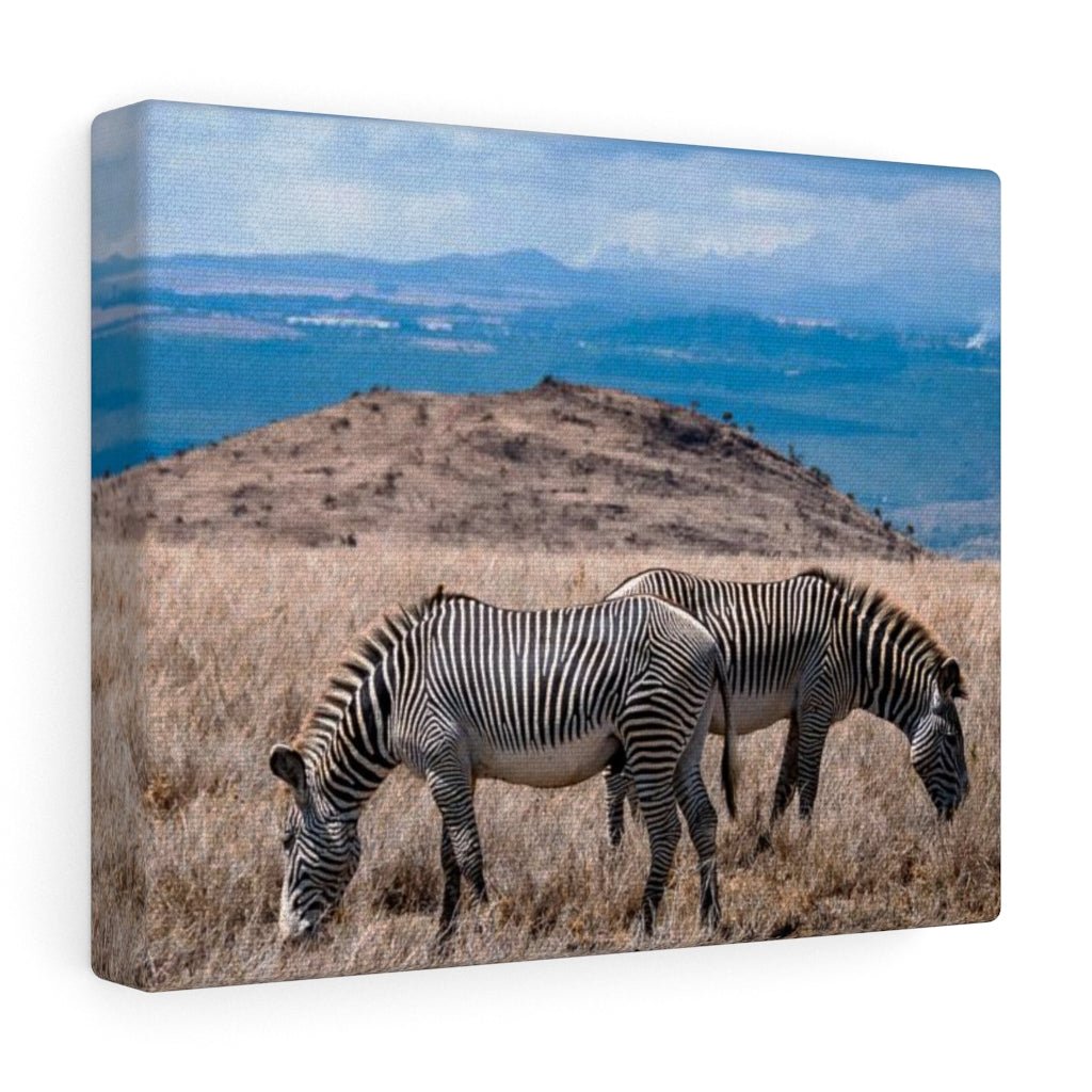 Zebra-Striped Expanse - Canvas - Visiting This World