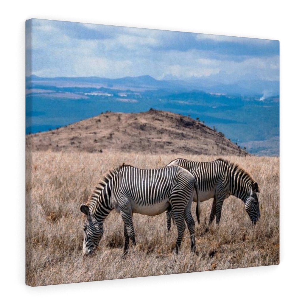 Zebra-Striped Expanse - Canvas - Visiting This World