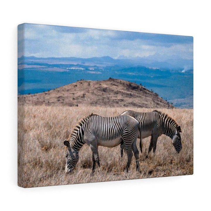 Zebra-Striped Expanse - Canvas - Visiting This World