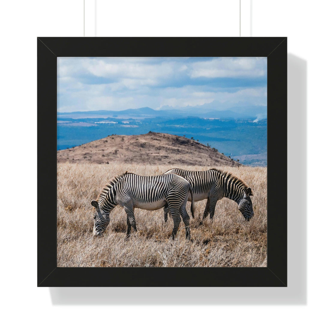 Zebra-Striped Expanse - Framed Print - Visiting This World