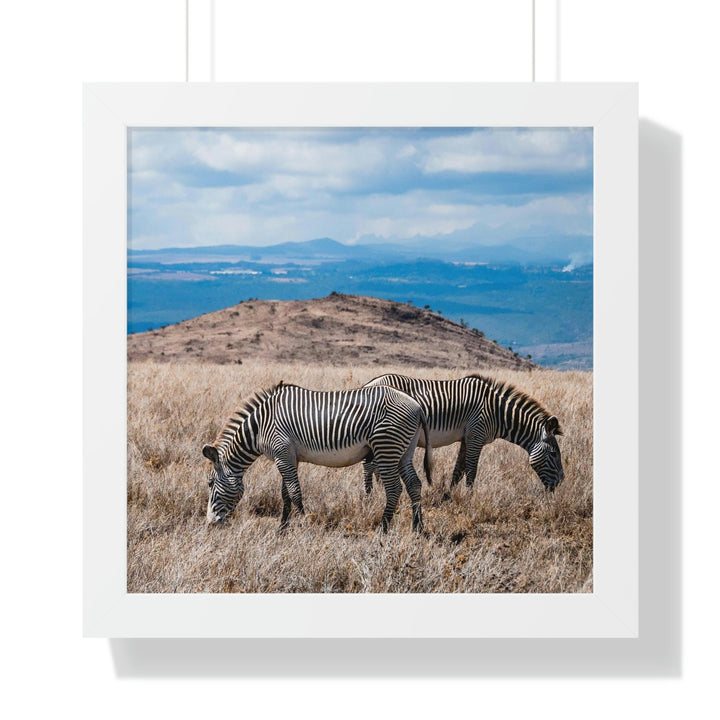 Zebra-Striped Expanse - Framed Print - Visiting This World