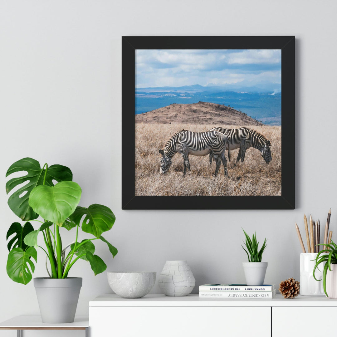 Zebra-Striped Expanse - Framed Print - Visiting This World