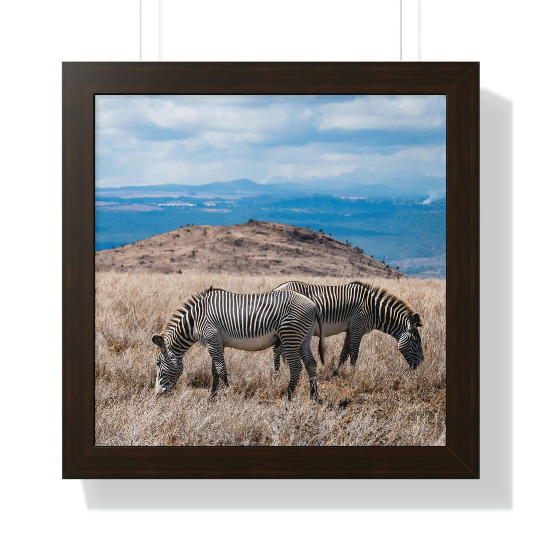 Zebra-Striped Expanse - Framed Print - Visiting This World