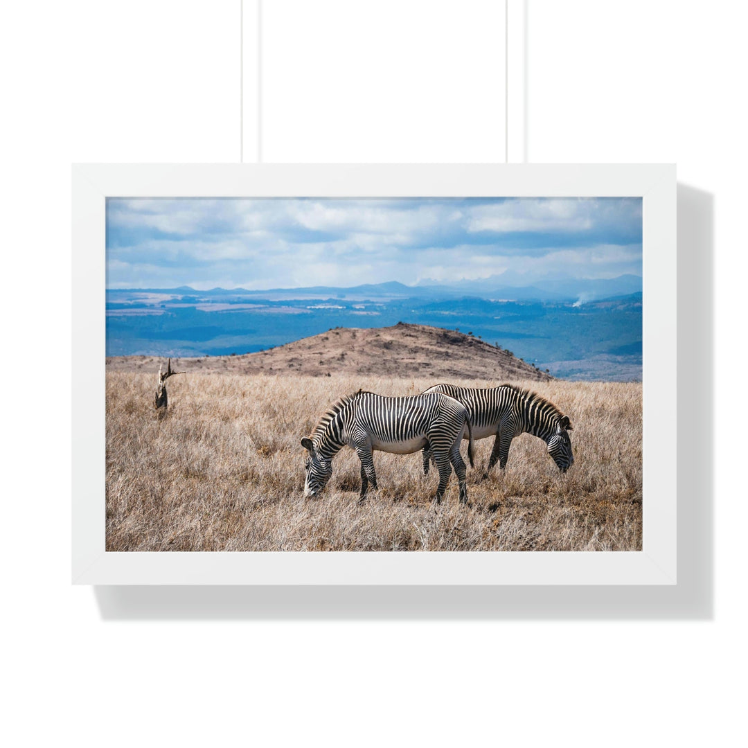 Zebra-Striped Expanse - Framed Print - Visiting This World